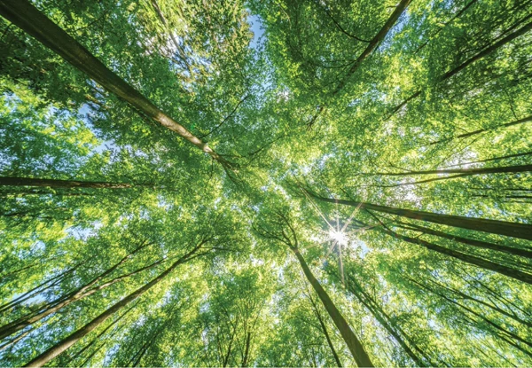greener solution provider